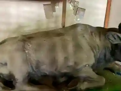 霊牛神堂(福島県)