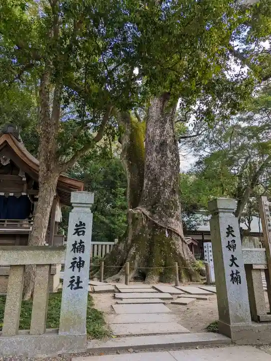 伊弉諾神宮(兵庫県)