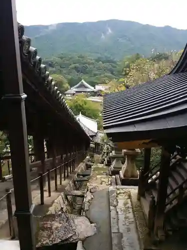 長谷寺の景色