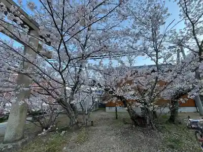 八幡神社(兵庫県)