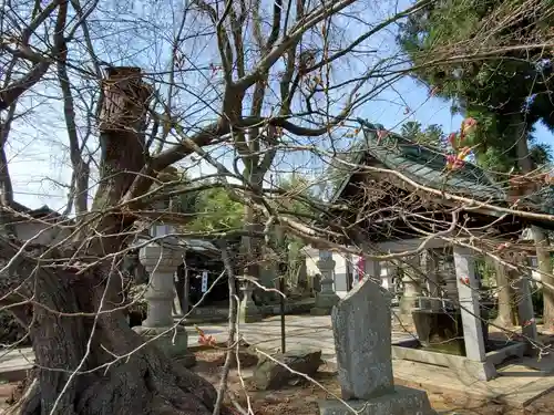 神炊館神社 ⁂奥州須賀川総鎮守⁂の自然