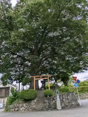 山神宮(埼玉県)