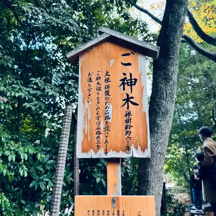 川越氷川神社(埼玉県)