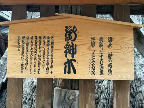 科野大宮社(長野県)