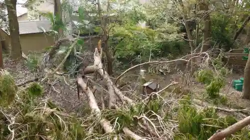 二葉姫稲荷神社の自然