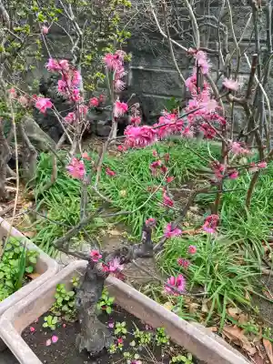 法徳寺の{uncategorized: "未分類", other: "その他", undefined: "問題あり", building: "その他建物", grave: "お墓", sacred_gate: "鳥居", guardian: "狛犬", statue: "像", buddha: "仏像", history: "歴史", nature: "自然", garden: "庭園", animal: "動物", pagoda: "塔", temizu: "手水舎", mountain_gate: "山門・神門", sanctuary: "本殿・本堂", subordinate: "末社・摂社", art: "芸術", scenery: "景色", jizo: "地蔵", ema: "絵馬", goshuin: "御朱印", omikuji: "おみくじ", items: "授与品その他", amulet: "お守り", goshuincho: "御朱印帳", eats: "食事", festival: "お祭り", votive_dance: "神楽", shichigosan: "七五三参", wedding: "結婚式", experience: "体験その他", initially: "初詣", around: "周辺", anti_infection: "感染症対策"}