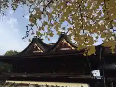 吉備津神社の本殿