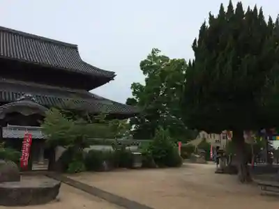 周防国分寺(山口県)