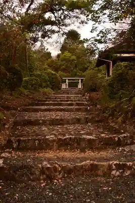 大覚寺(京都府)