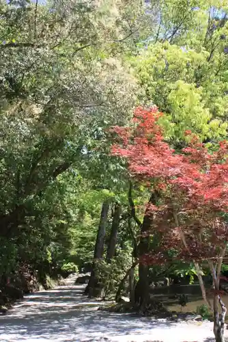 賀茂別雷神社（上賀茂神社）(京都府)
