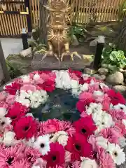 白山神社(新潟県)