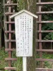 富部神社の自然