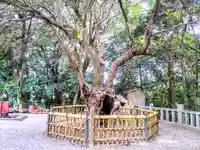 八幡神社(草木八幡社)の庭園