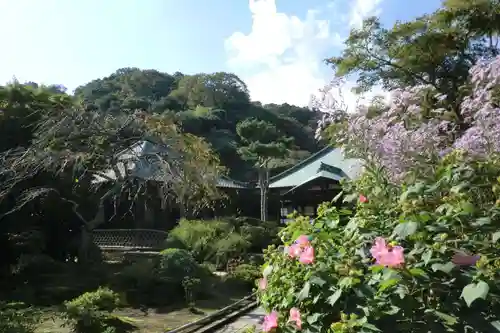 海蔵寺(神奈川県)