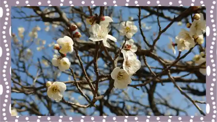 三毳不動尊(栃木県)