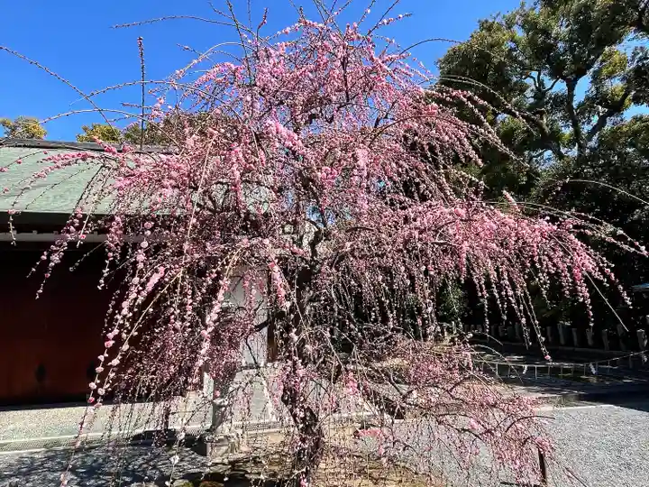 城南宮(京都府)