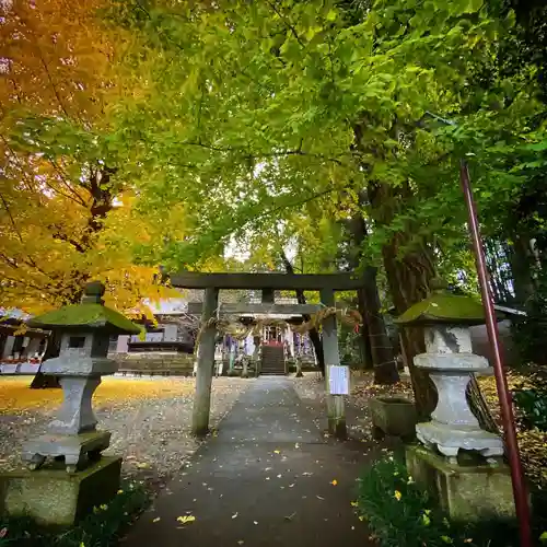 下野 星宮神社の鳥居