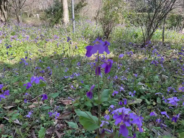 安養寺(静岡県)