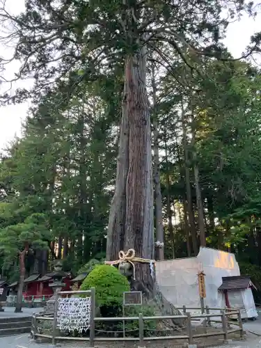北口本宮冨士浅間神社の自然