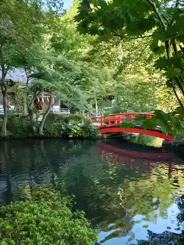 貫井神社(東京都)