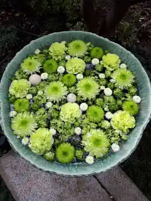 行田八幡神社の手水舎