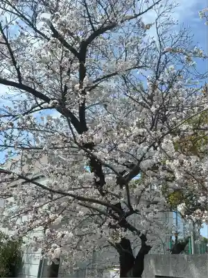 潮田神社(神奈川県)