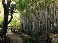 地蔵院(京都府)