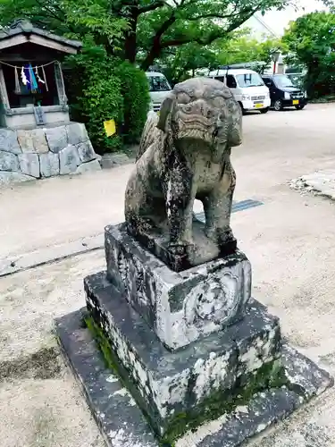 髙木八幡宮の狛犬