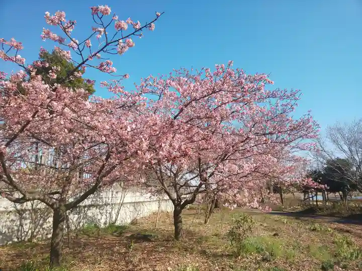 尾曳稲荷神社の自然
