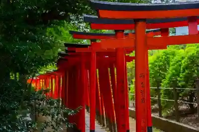 根津神社の鳥居