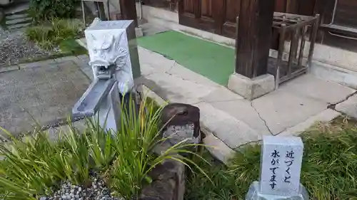 高知大神宮の手水舎