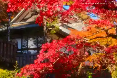 最乗寺（道了尊）(神奈川県)