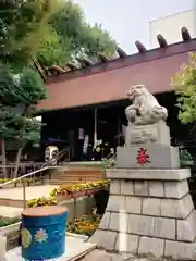 高円寺氷川神社(東京都)