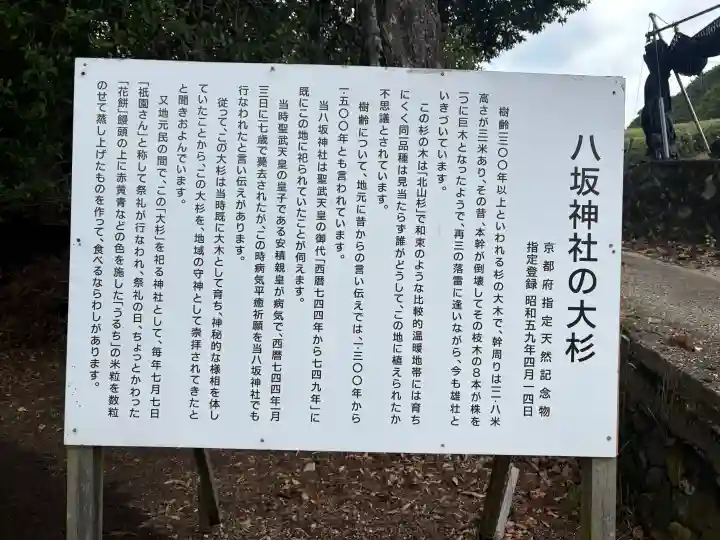 八坂神社(京都府)