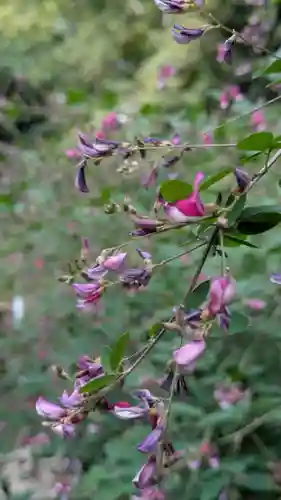 梨木神社(京都府)