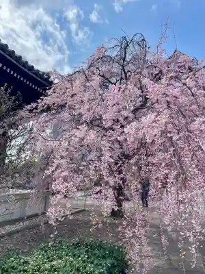 吉祥寺(東京都)