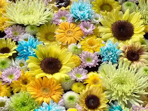 月寒神社の手水舎
