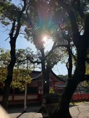 津島神社の{uncategorized: "未分類", other: "その他", undefined: "問題あり", building: "その他建物", grave: "お墓", sacred_gate: "鳥居", guardian: "狛犬", statue: "像", buddha: "仏像", history: "歴史", nature: "自然", garden: "庭園", animal: "動物", pagoda: "塔", temizu: "手水舎", mountain_gate: "山門・神門", sanctuary: "本殿・本堂", subordinate: "末社・摂社", art: "芸術", scenery: "景色", jizo: "地蔵", ema: "絵馬", goshuin: "御朱印", omikuji: "おみくじ", items: "授与品その他", amulet: "お守り", goshuincho: "御朱印帳", eats: "食事", festival: "お祭り", votive_dance: "神楽", shichigosan: "七五三参", wedding: "結婚式", experience: "体験その他", initially: "初詣", around: "周辺", anti_infection: "感染症対策"}