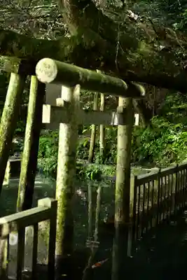 奥宮(鹿島神宮摂社)(茨城県)