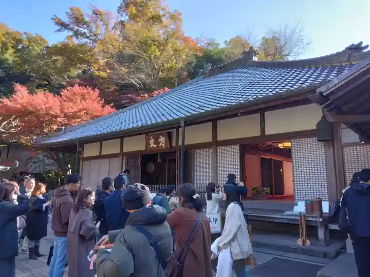 明月院(神奈川県)