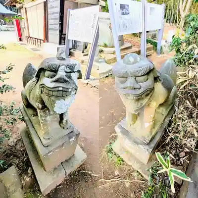 飯綱神社の狛犬