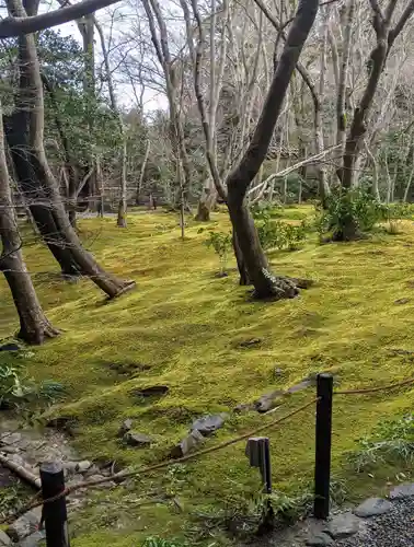 祇王寺(京都府)