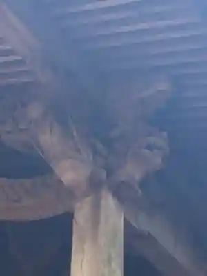 高千穂神社の芸術