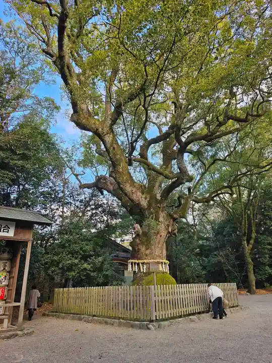 熱田神宮(愛知県)