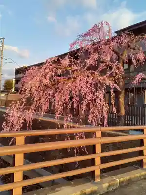 泰心院(宮城県)