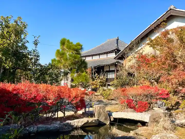 大徳寺(滋賀県)
