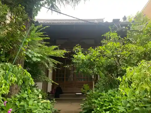 妙圓寺(千葉県)