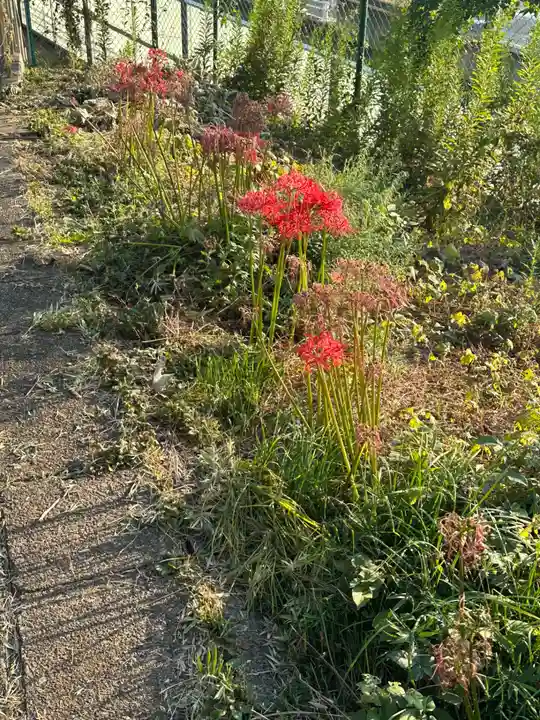 庚申神社の自然