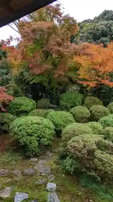 安楽寺(京都府)