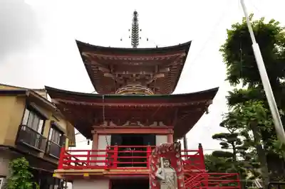 善楽寺(高知県)